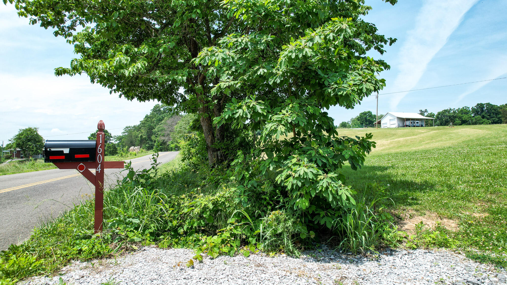 1604 Bays Mountain Road New Market, TN 37820 - Photo 26 of 26 DJI_0983