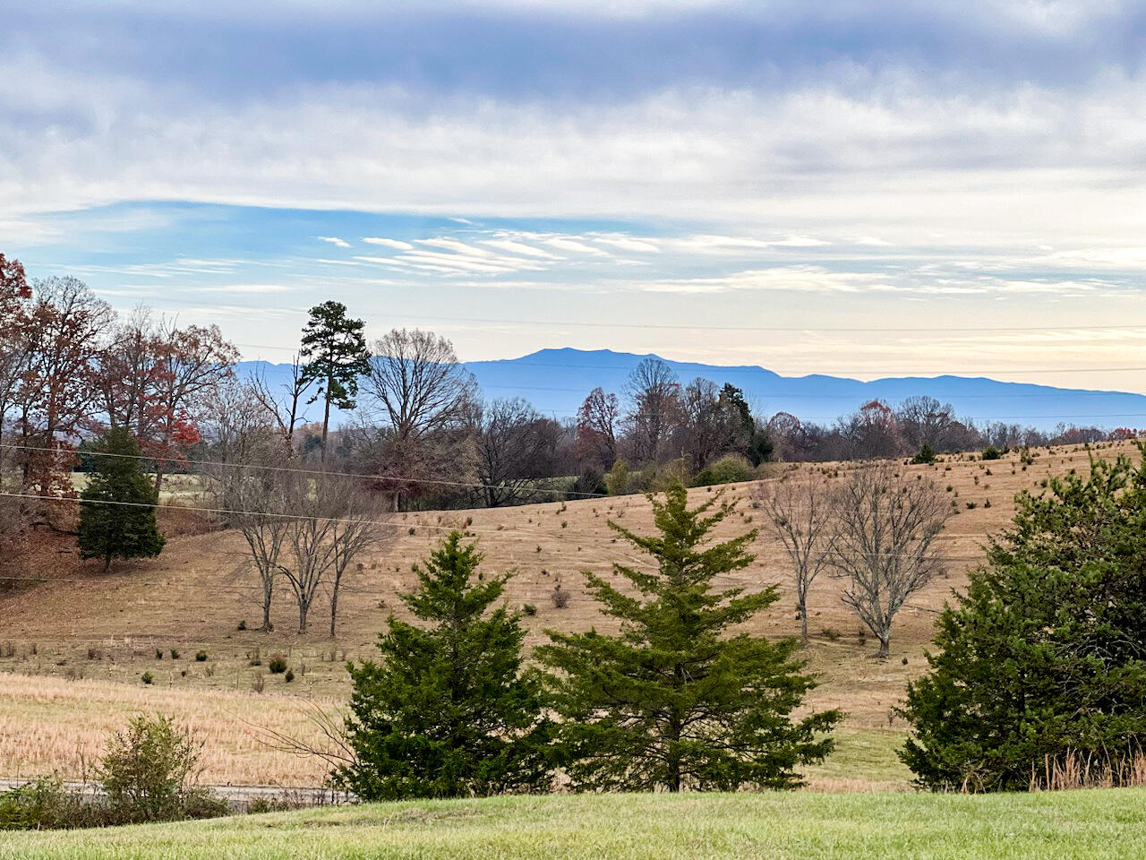 1604 Bays Mountain Road New Market, TN 37820 - Photo 7 of 26 IMG_8061(1)