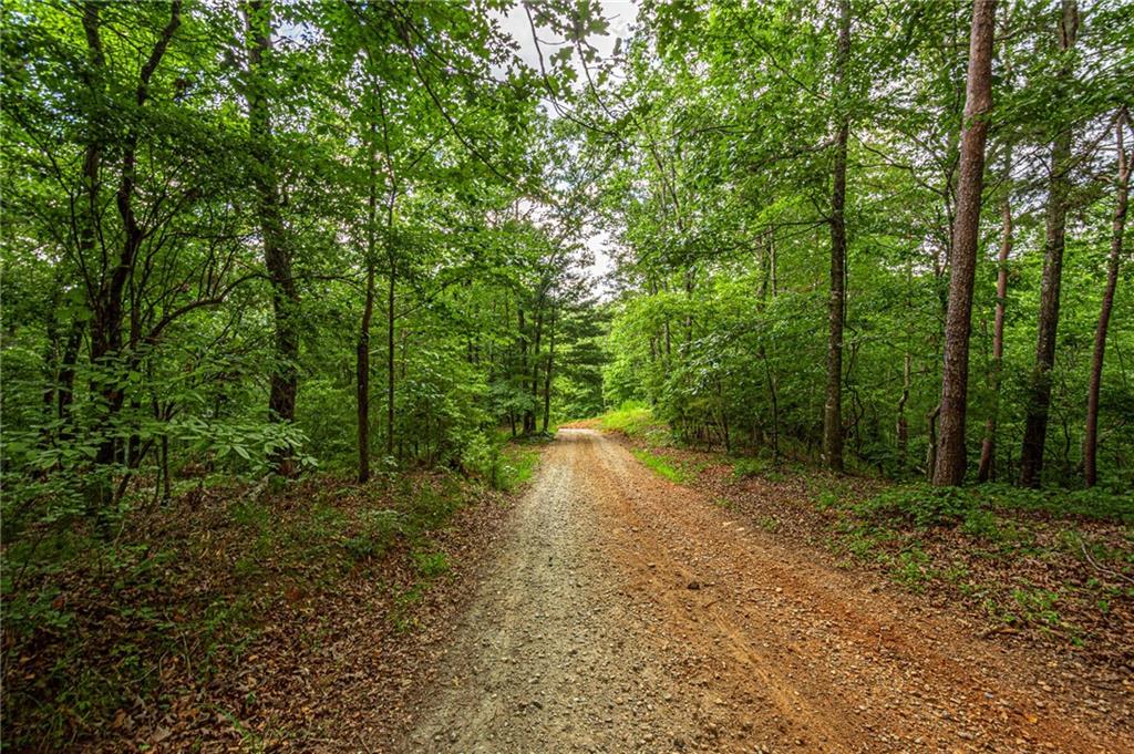 3 Lawrence Road Dawsonville, GA 30534 - Photo 1 of 1 Gallery Image 1