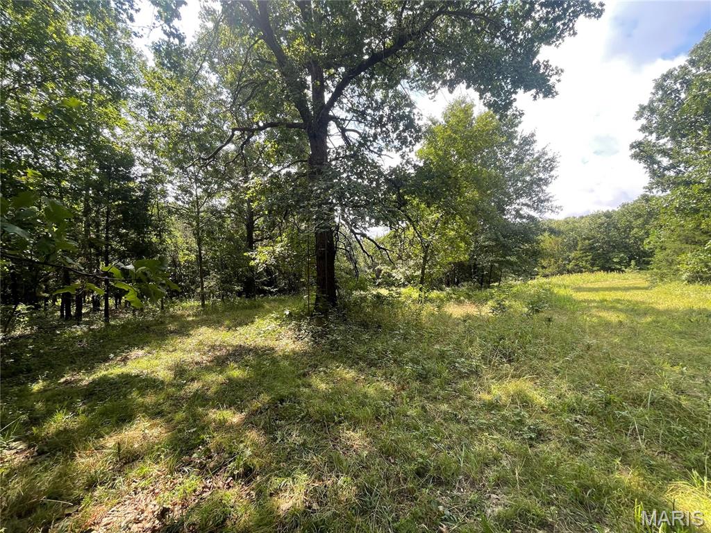 10305 Belle Road Crocker, MO 65452 - Photo 85 of 99