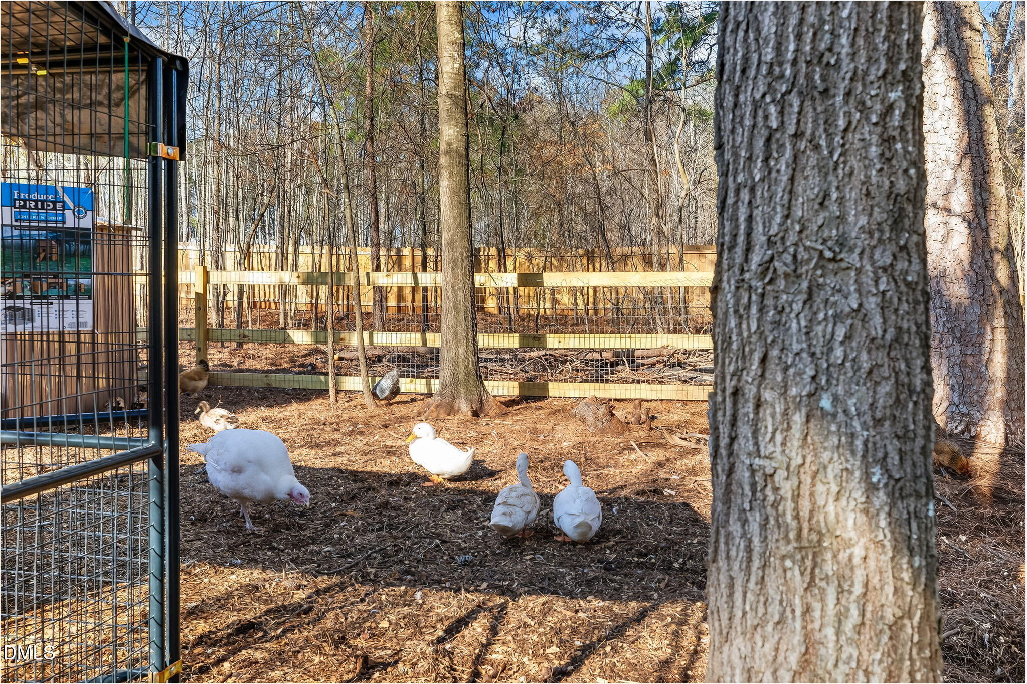 35 Chester Lane Middlesex, NC 27557 - Photo 28 of 31 41-web-or-mls-IMG_0110