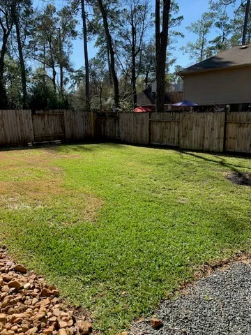 a view of a backyard with a large tree and wooden fence