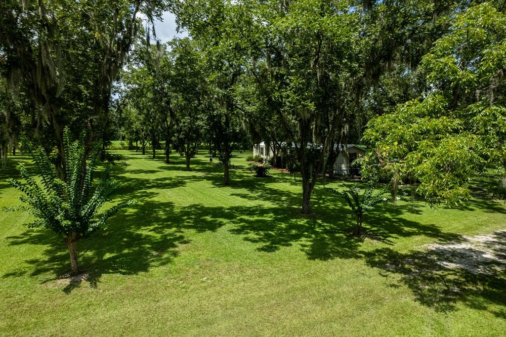 7 Tyler Road Naylor, GA 31641 - Photo 34 of 42 Gallery Image 34