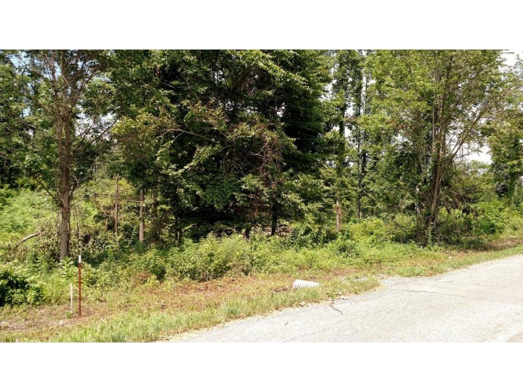 Tbd Townsend Road, Unit 9 Fall Branch, TN 37656 - Photo 1 of 1 Photo 1