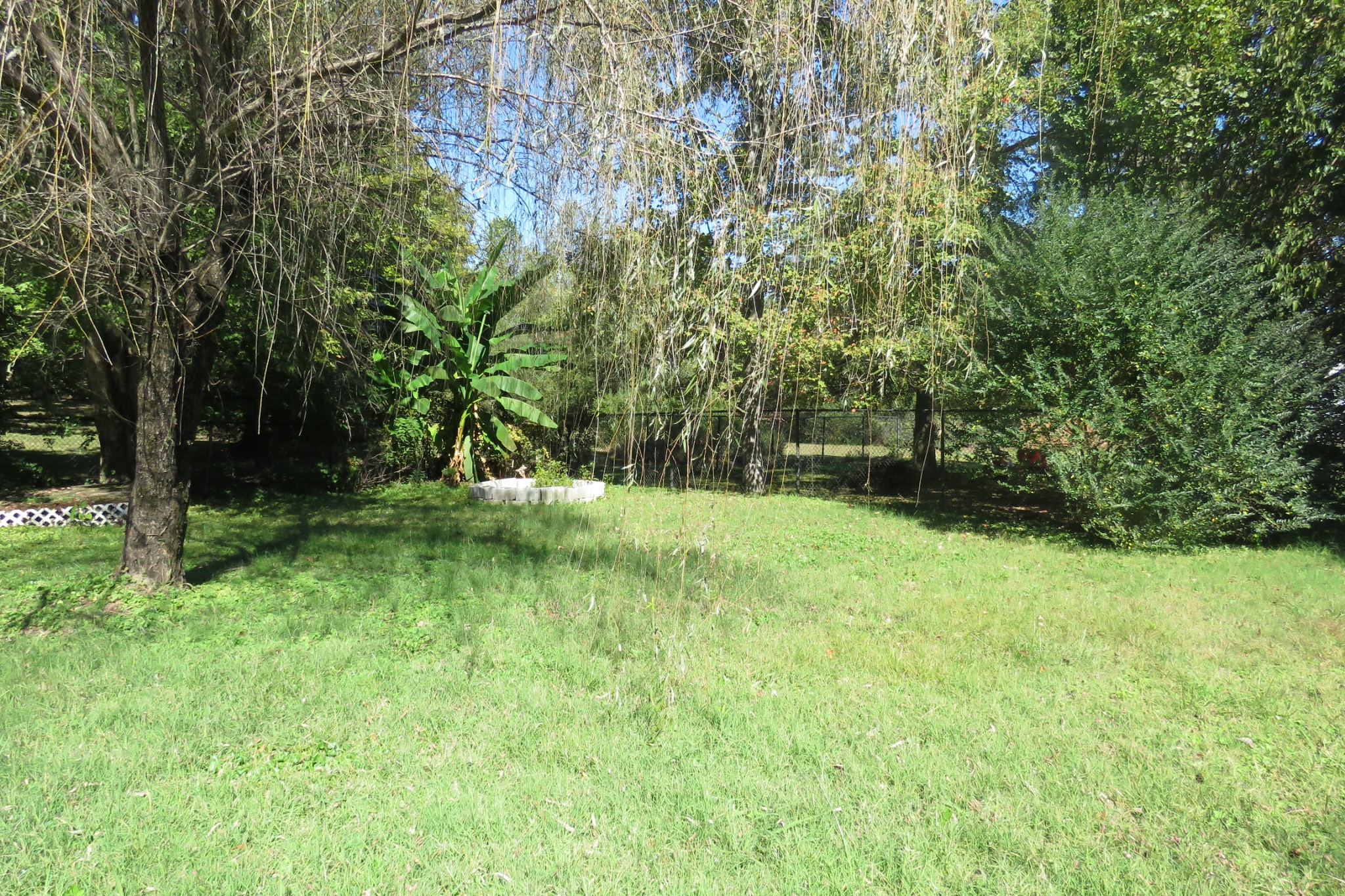 169 Dyer Ridge Road Baxter, TN 38544 - Photo 19 of 25 a view of a yard with a tree