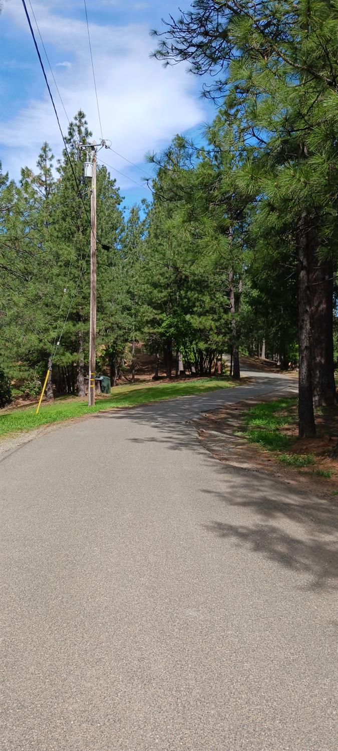 1550 Copperton Road Camino, CA 95709 - Photo 11 of 22 a view of a field of grass and trees