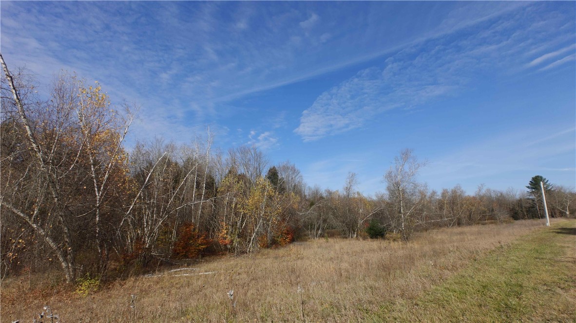 199 White Road Parish, NY 13131 - Photo 20 of 27