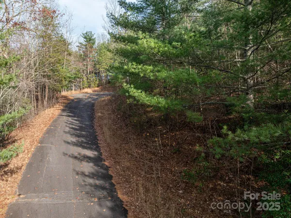 a view of a pathway both side of yard