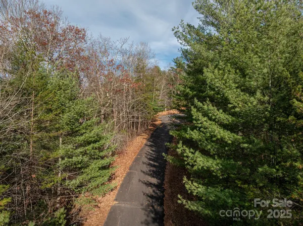 a view of a pathway both side of yard