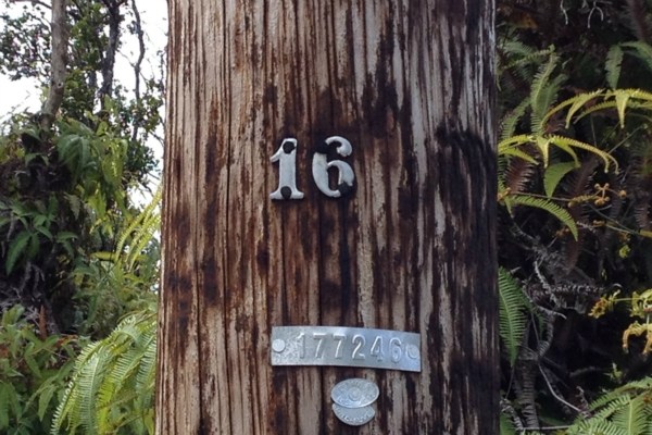 49 Uluhemalu Road Mountain View, HI 96771 - Photo 10 of 19
