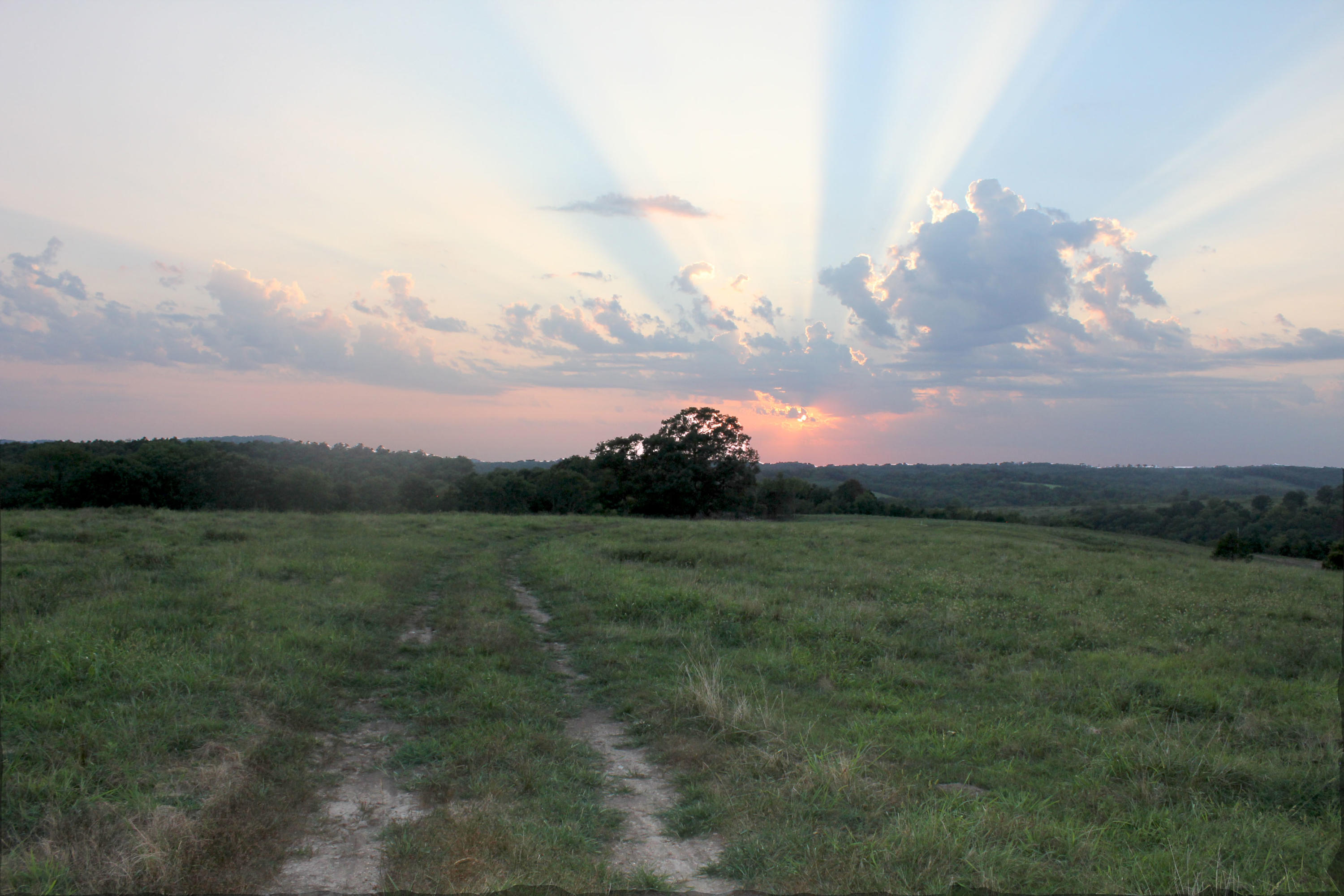 0 Co Road Squires, MO 65755 - Photo 1 of 1 IMG_1581