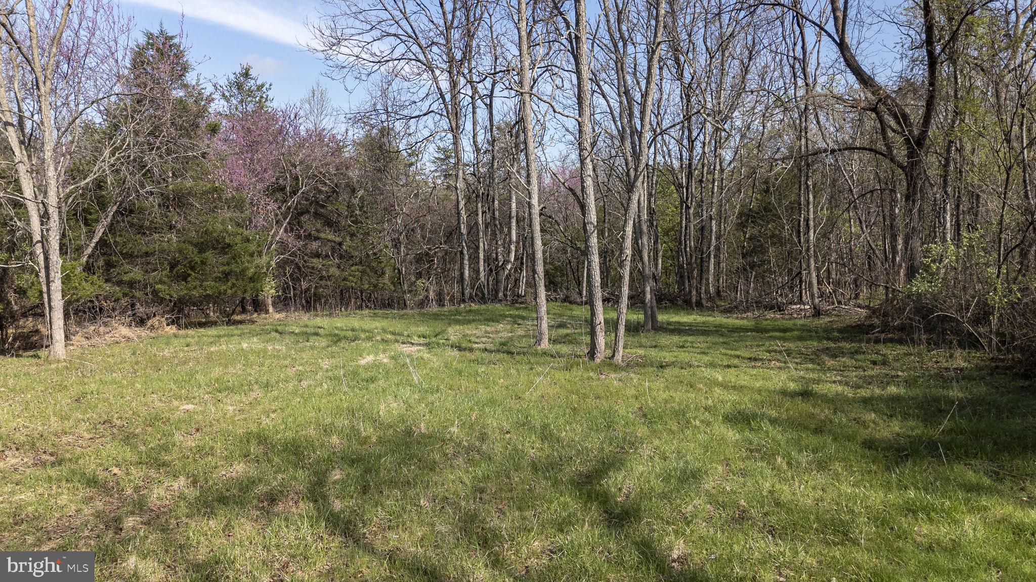 Goggin Ford Road Bedford, VA 24523 - Photo 6 of 20