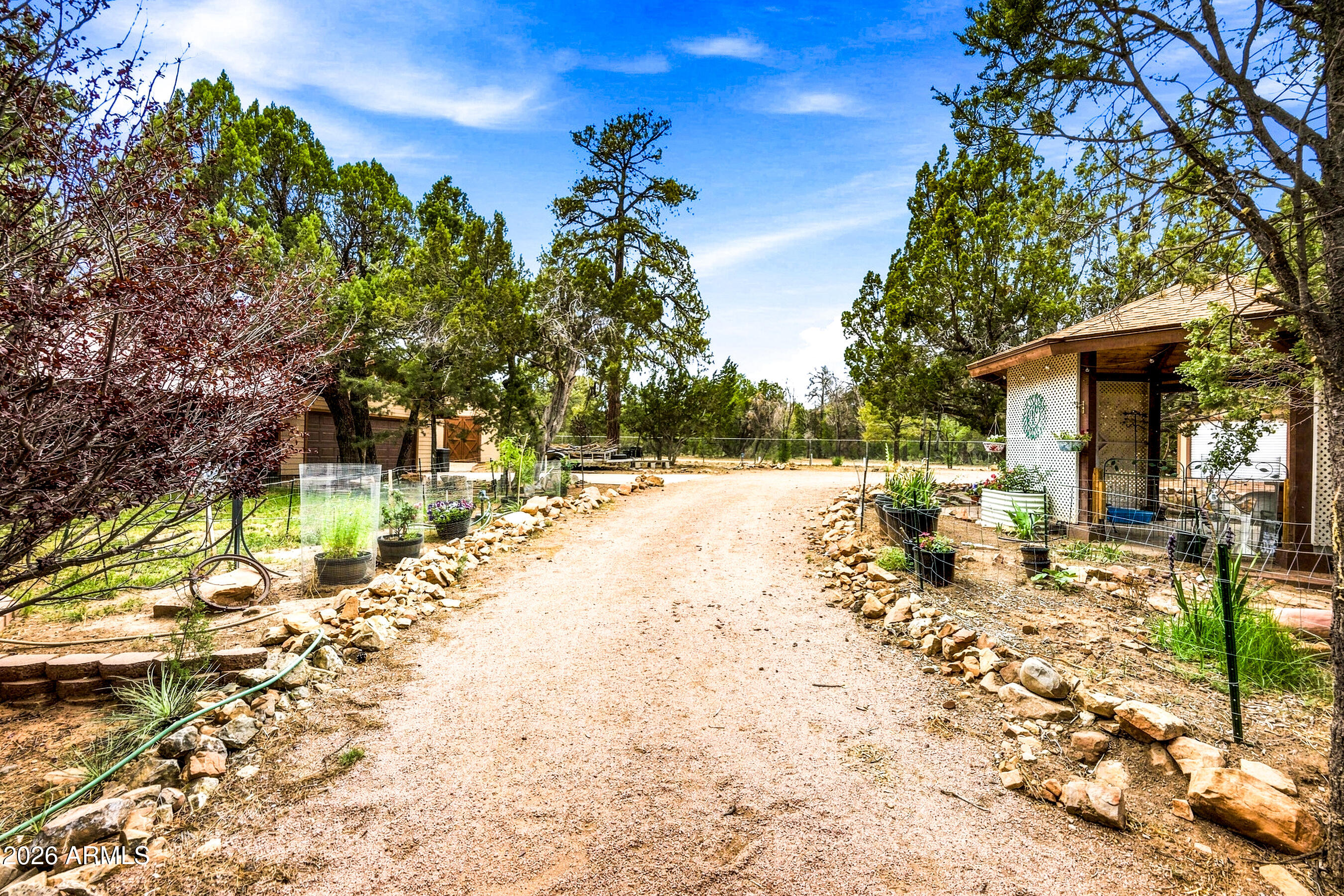 3071 Ponderosa Road Overgaard, AZ 85933 - Photo 8 of 72 Driveway toward main home