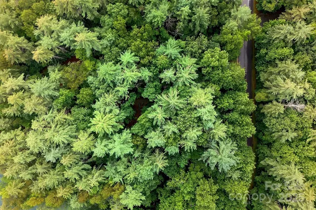 $725,000 | 2361 Lake Forest Cove, Unit 13, Nebo, NC 28761