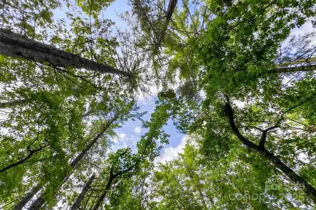 $725,000 | 2361 Lake Forest Cove, Unit 13, Nebo, NC 28761