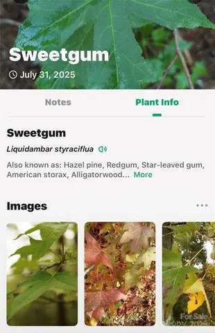 $725,000 | 2361 Lake Forest Cove, Unit 13, Nebo, NC 28761