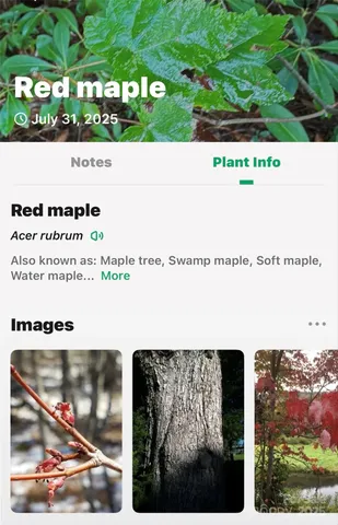 $725,000 | 2361 Lake Forest Cove, Unit 13, Nebo, NC 28761