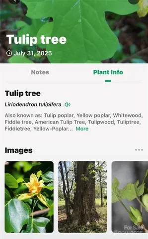 $725,000 | 2361 Lake Forest Cove, Unit 13, Nebo, NC 28761