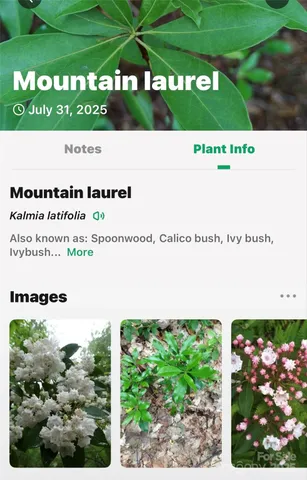 $725,000 | 2361 Lake Forest Cove, Unit 13, Nebo, NC 28761