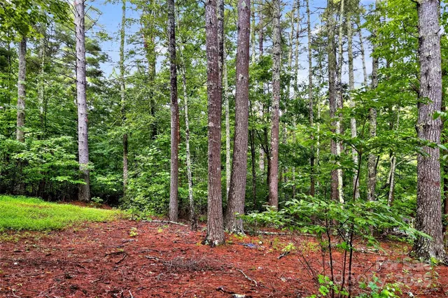 $725,000 | 2361 Lake Forest Cove, Unit 13, Nebo, NC 28761