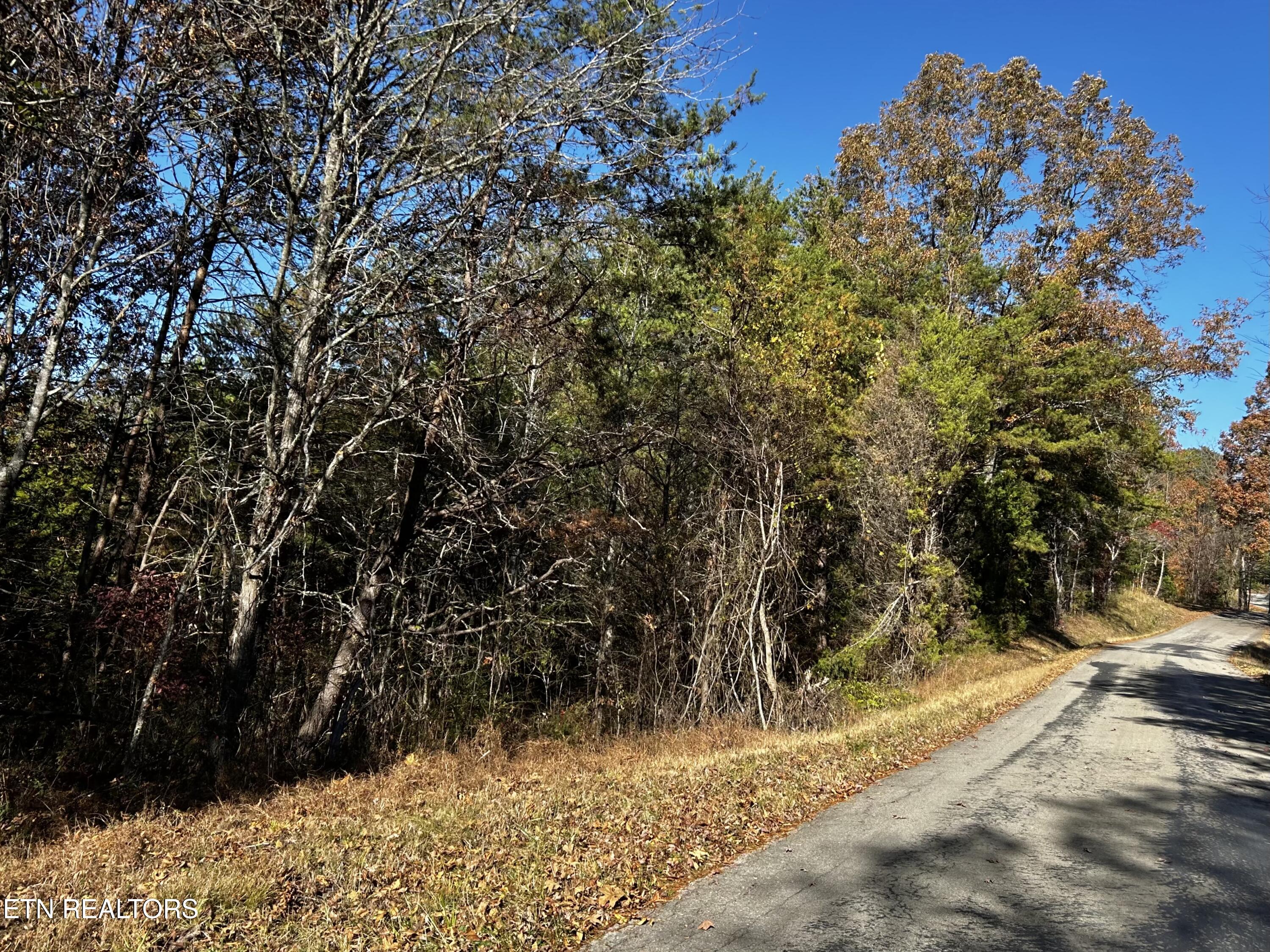 Shaddon Road Tellico Plains, TN 37385 - Photo 4 of 4 IMG_7638