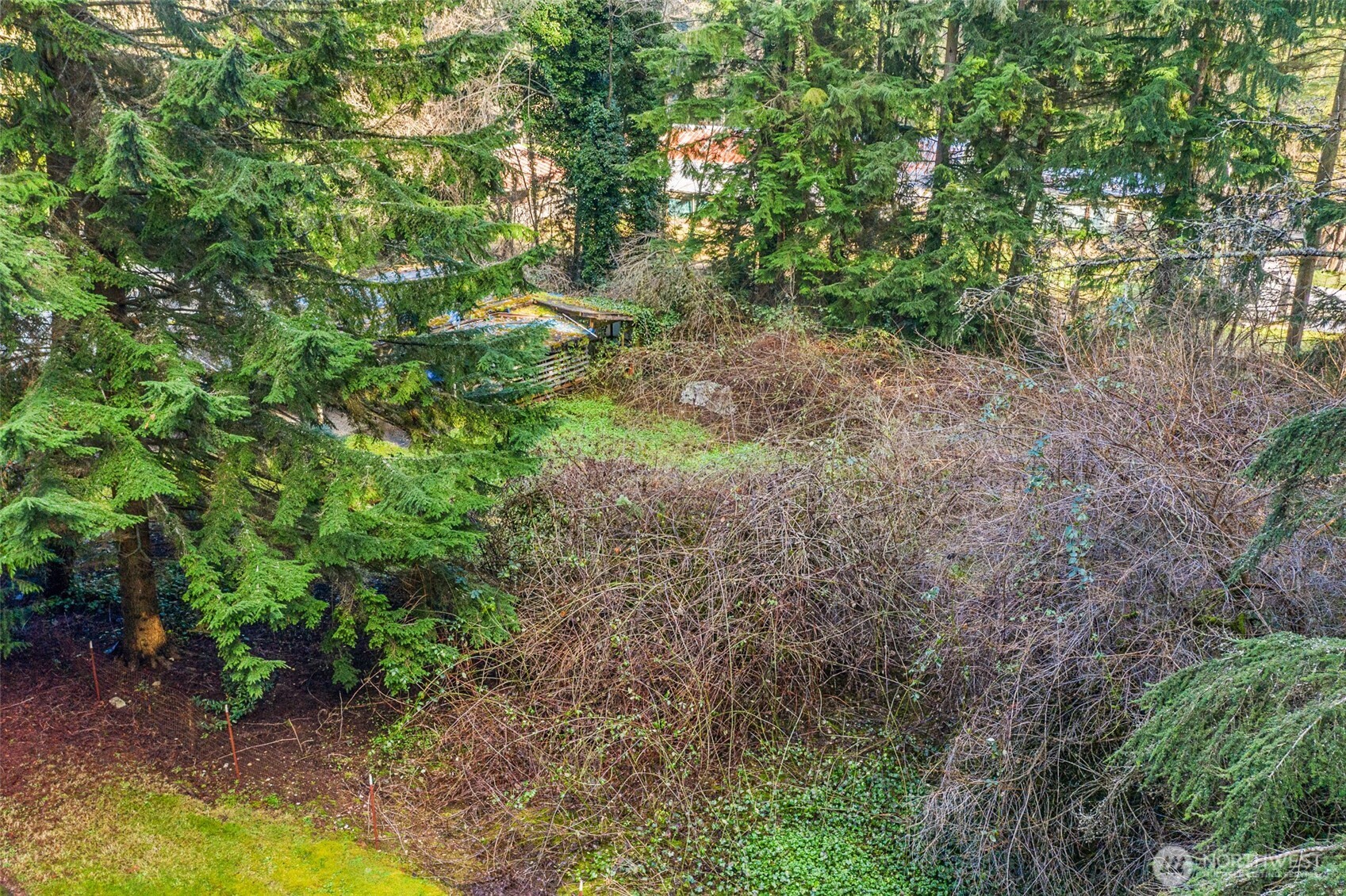 20115 49th Drive Southeast Bothell, WA 98012 - Photo 13 of 35 a view of a forest with trees in the background