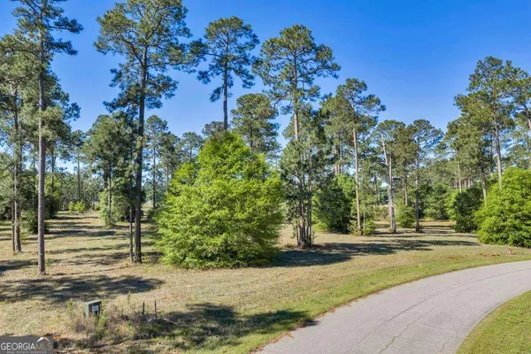 $22,900 | Tbd Swann Dr Lot 47 Block A, Cordele, GA 31015