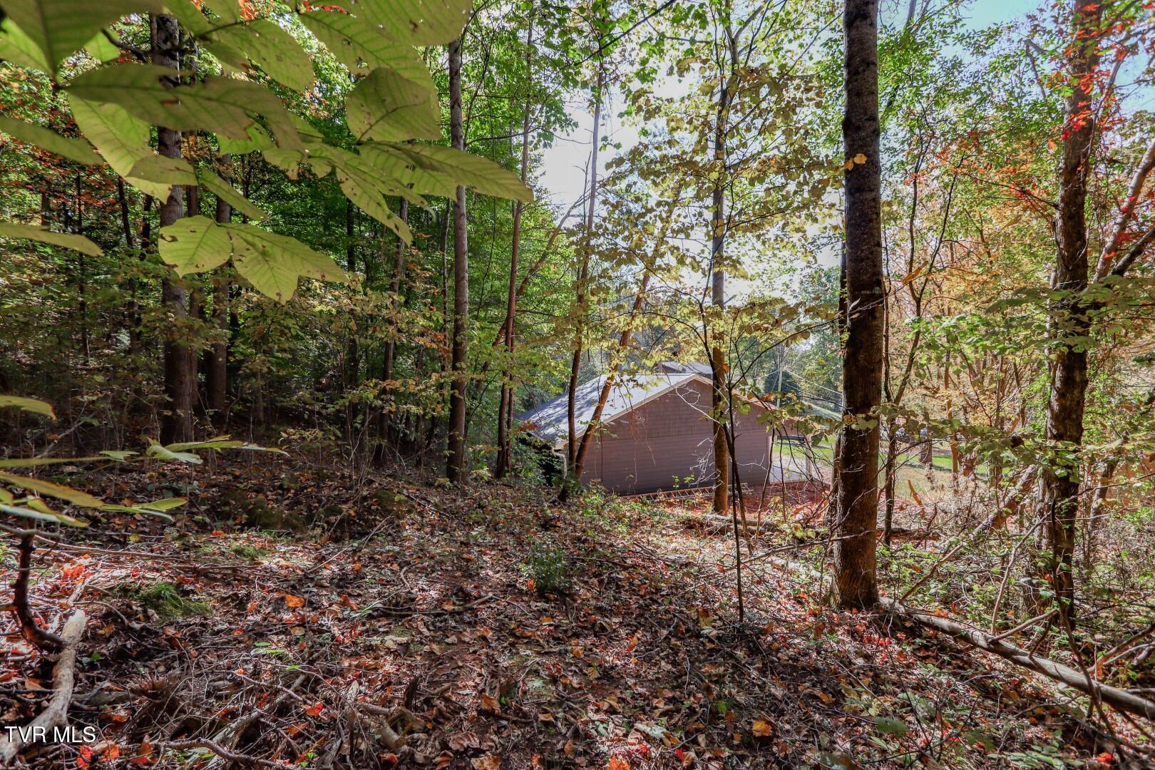 28.09 Piney Mtn Road Newport, TN 37821 - Photo 24 of 27 28.5