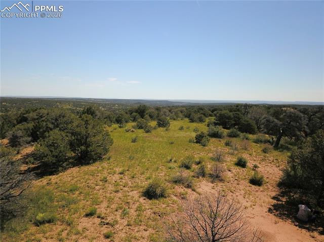 Williams Road Walsenburg, CO 81089 - Photo 7 of 19 Gallery Image 7