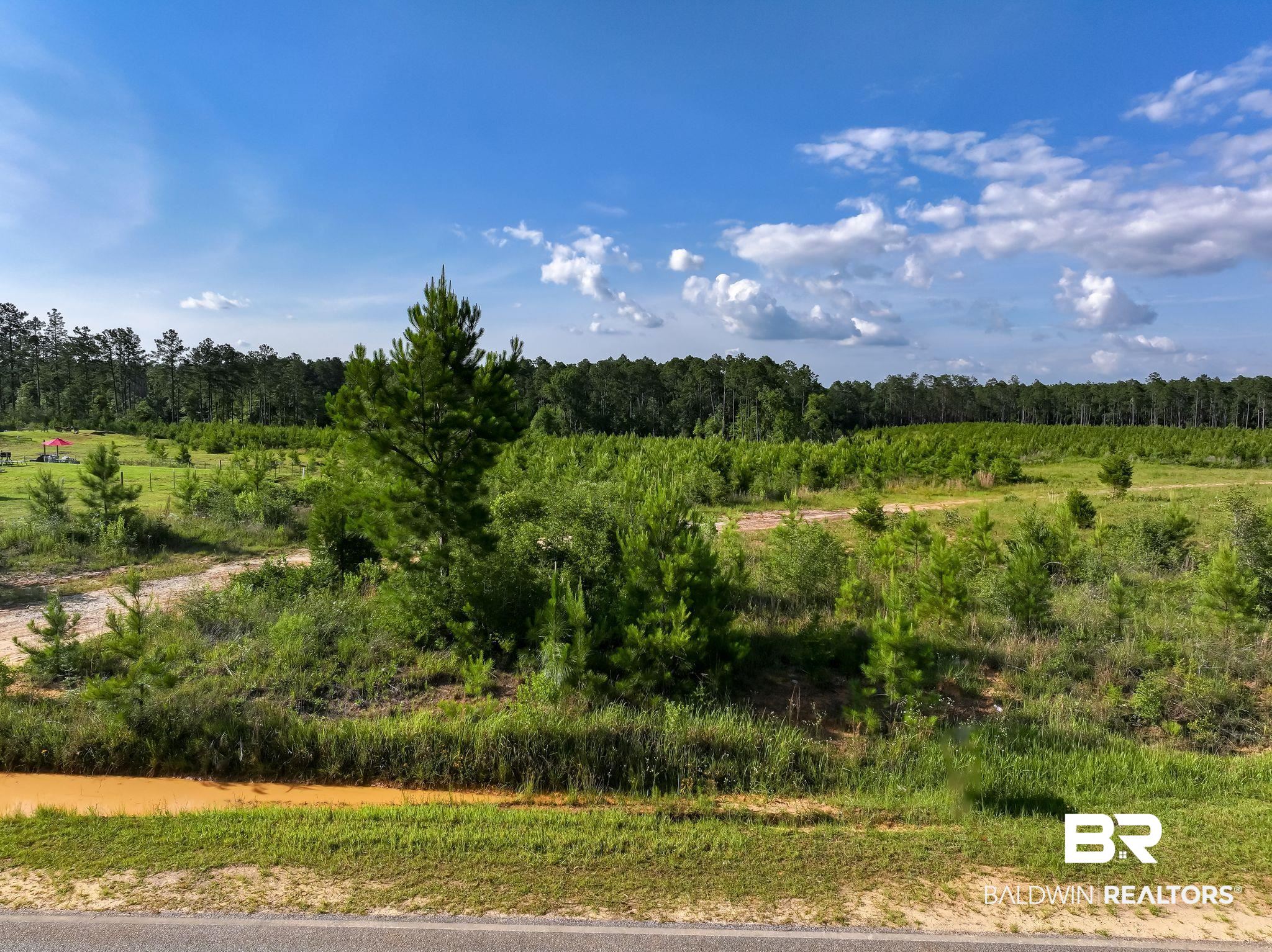 18689 Horseneck Road Bay Minette, AL 36507 - Photo 7 of 7