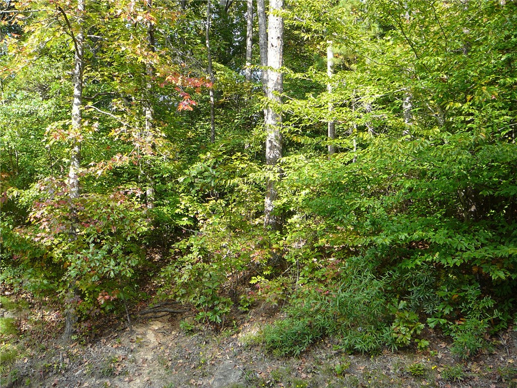 1 Broadway Lake Road Anderson, SC 29621 - Photo 3 of 5