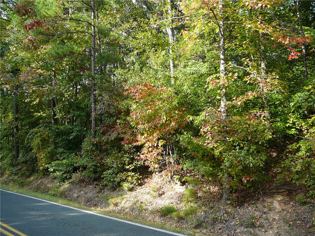1 Broadway Lake Road Anderson, SC 29621 - Photo 4 of 5