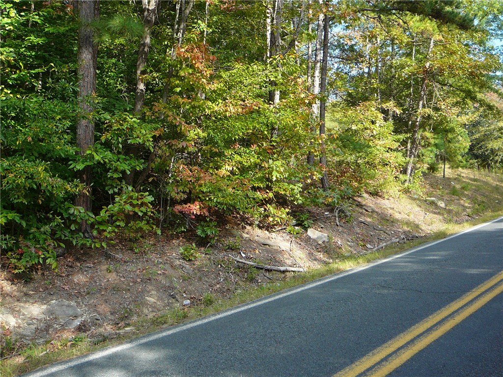 1 Broadway Lake Road Anderson, SC 29621 - Photo 5 of 5