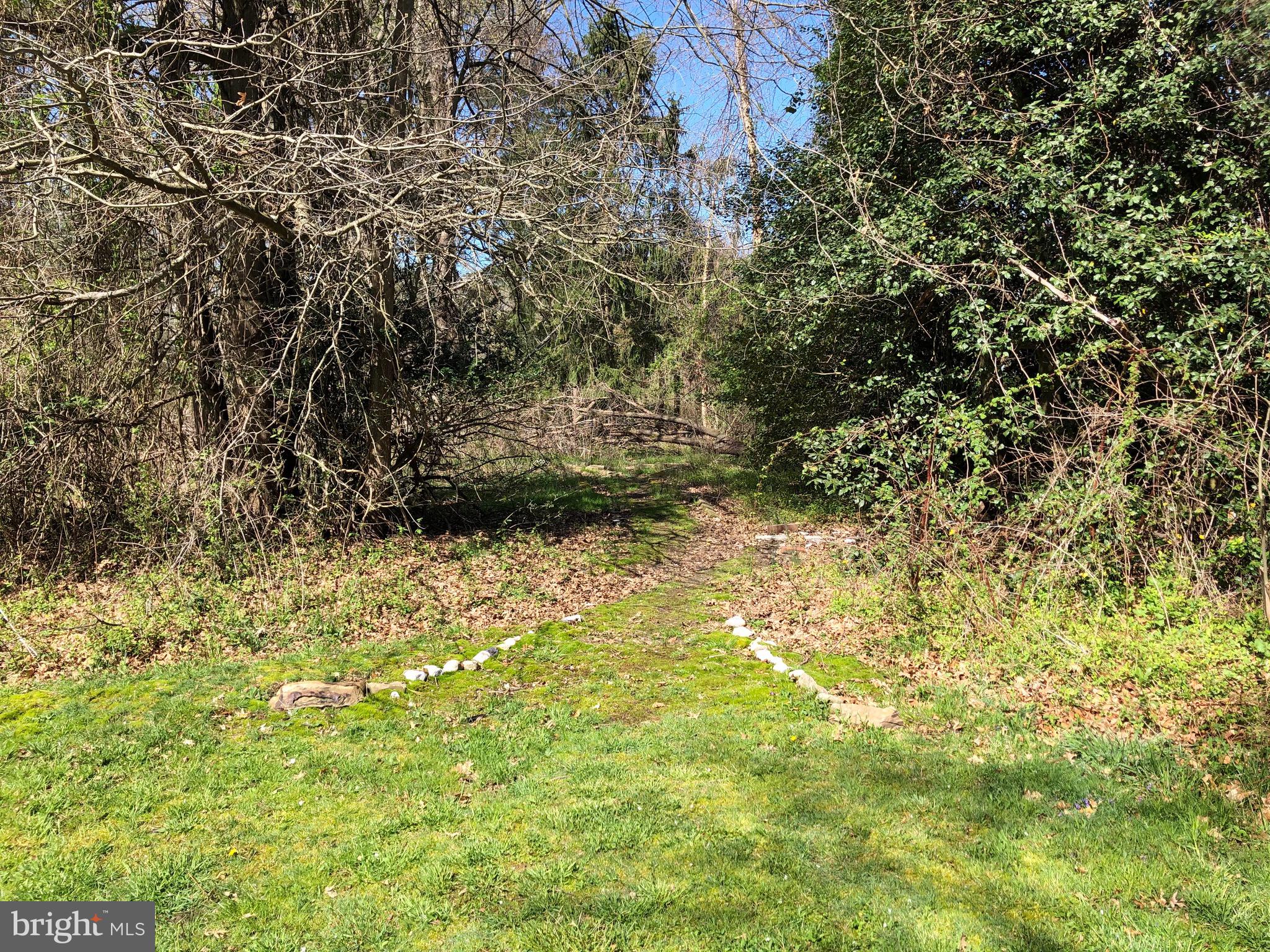 4305 Bridgeboro Road Moorestown, NJ 08057 - Photo 25 of 26 Rear Yard