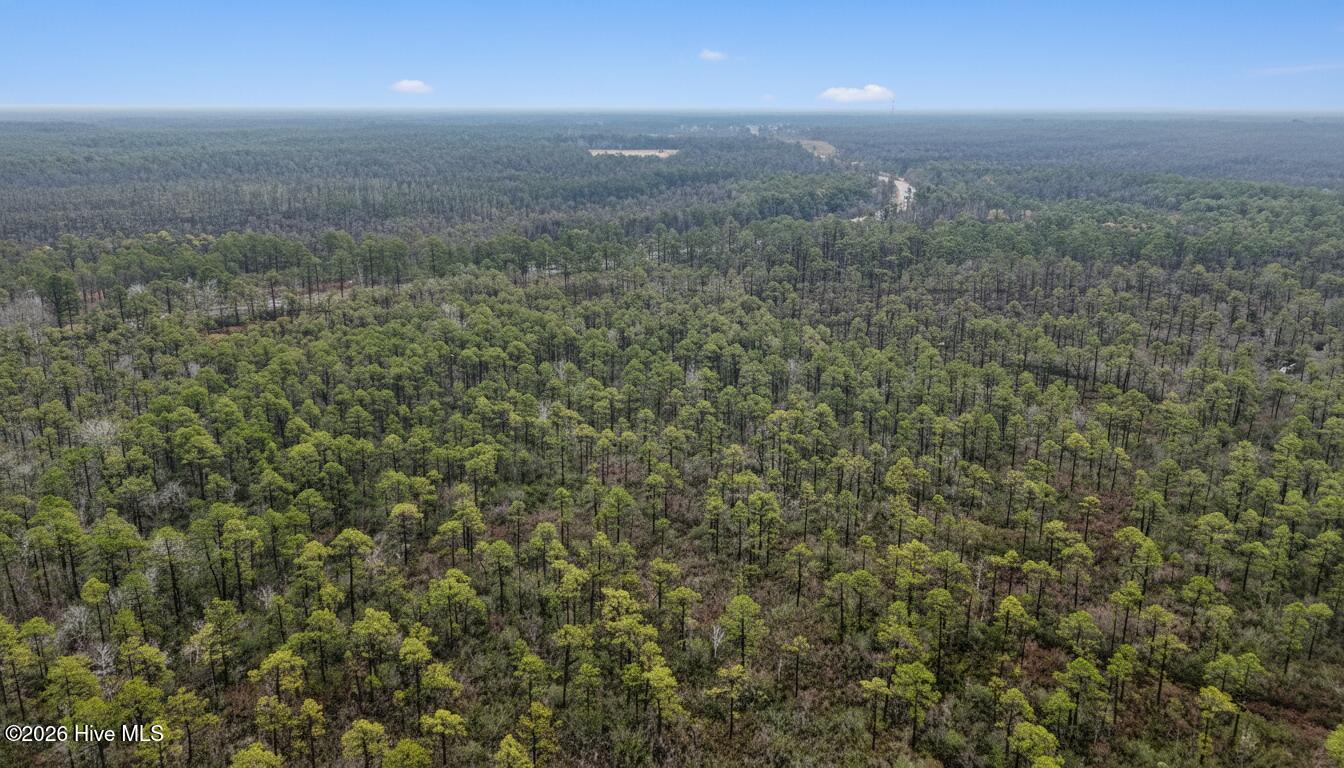 Lot 5-24 Unassigned Address Boiling Spring Lakes Bolivia, NC 28422 - Photo 4 of 10 4