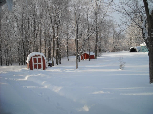 3680 Park Road Eau Claire, MI 49111 - Photo 9 of 9 p-Farm Hse Creek side (1)_edited