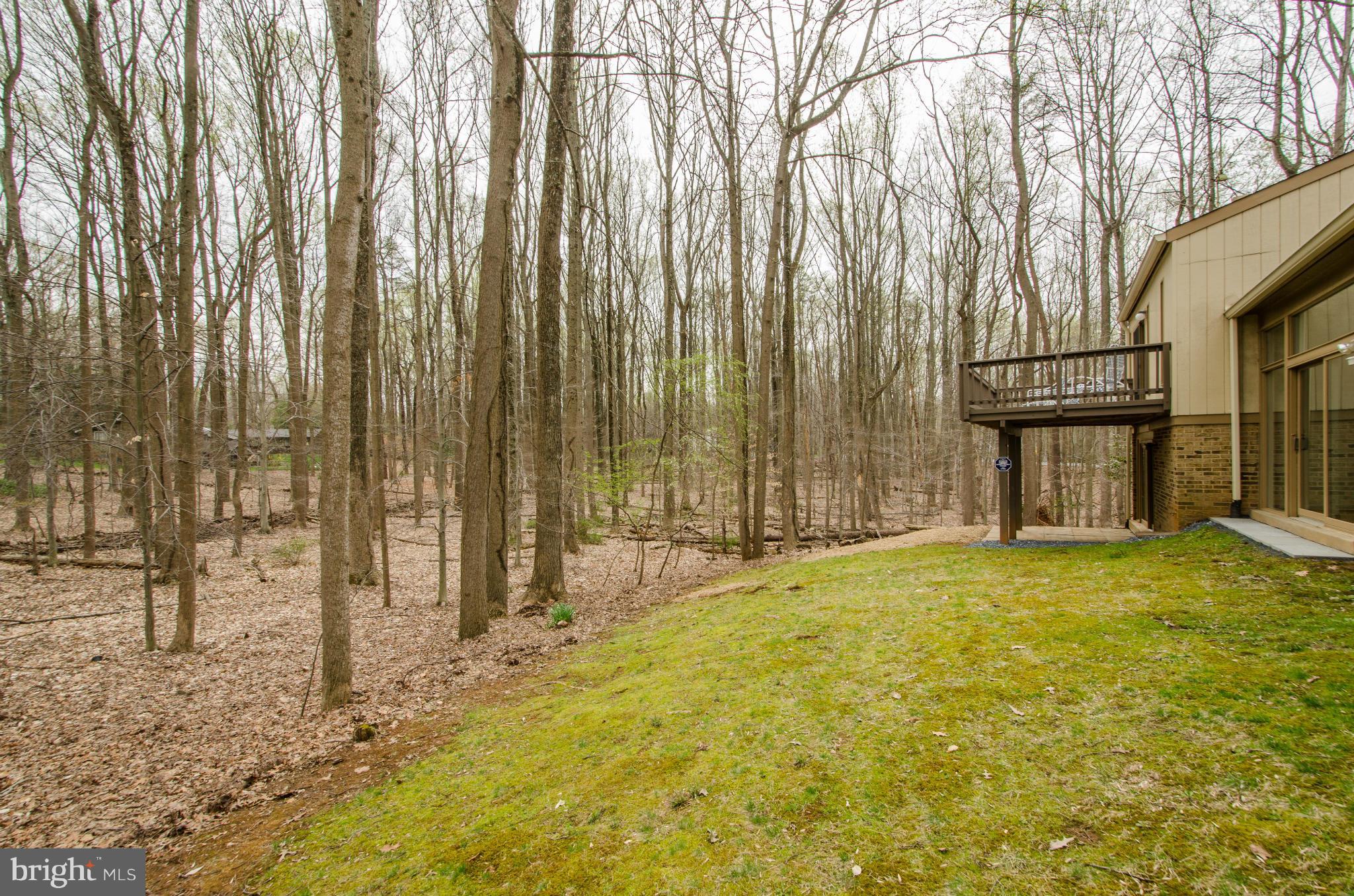 10104 Lloyd Road Potomac, MD 20854 - Photo 22 of 23 Exterior (Rear)