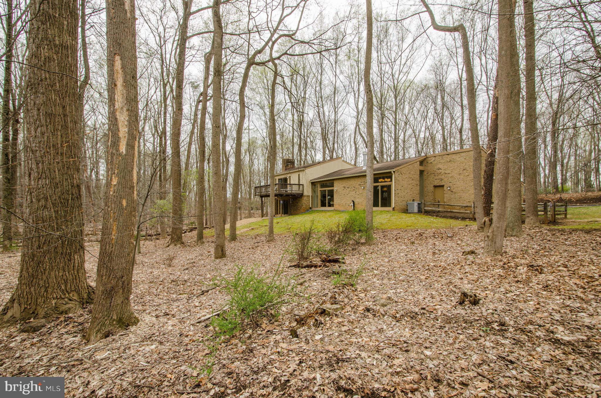 10104 Lloyd Road Potomac, MD 20854 - Photo 23 of 23 Exterior (Rear)