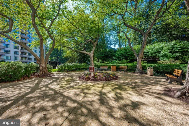 a view of backyard with tree