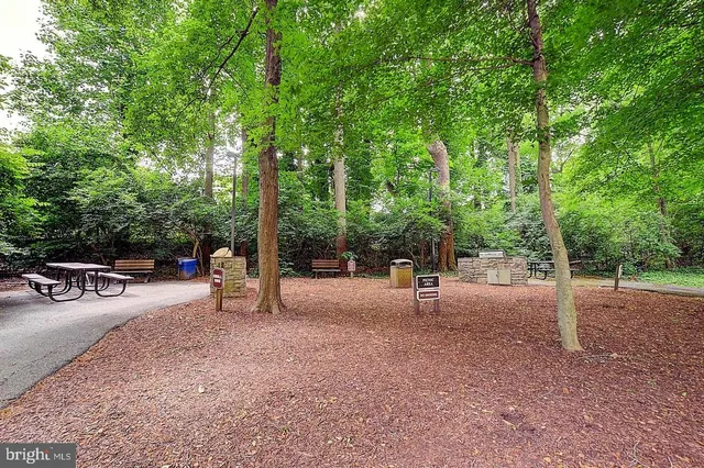 a view of a patio with a tree