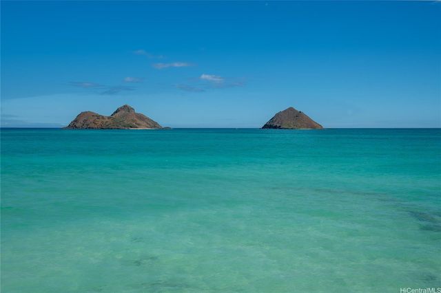 a view of a lake and a yard