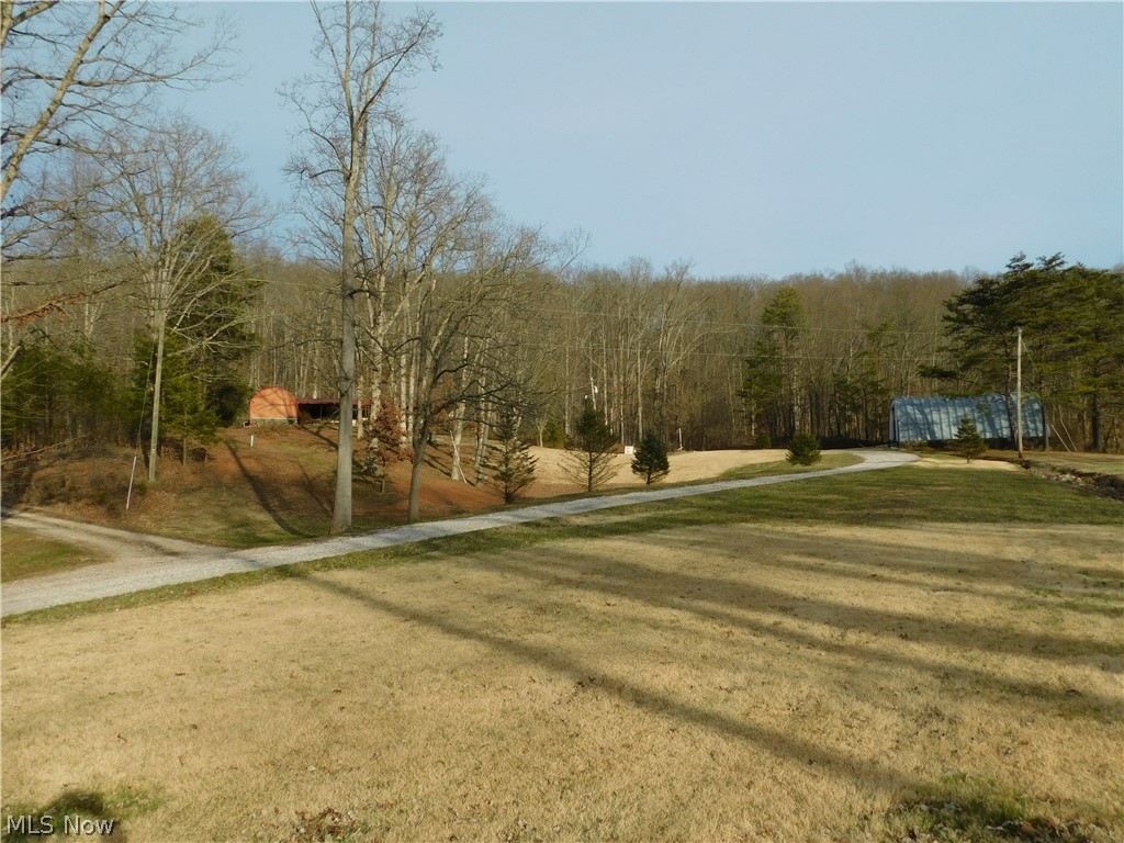 361 Anderson Road Davisville, WV 26142 - Photo 17 of 20 Showing at beginning of Private drive going up to home. I took the next few pics at listing time so not so green as the ones about of course. Still beautiful.