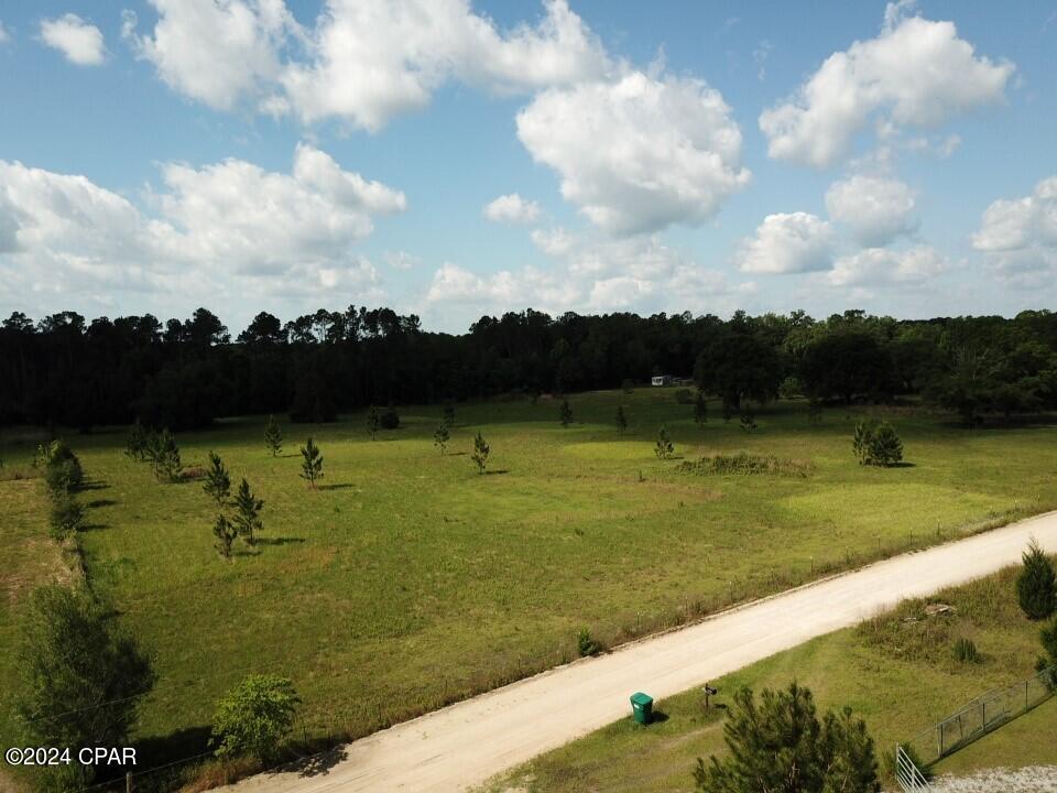 Tbd Bollinger Road Vernon, FL 32462 - Photo 24 of 28