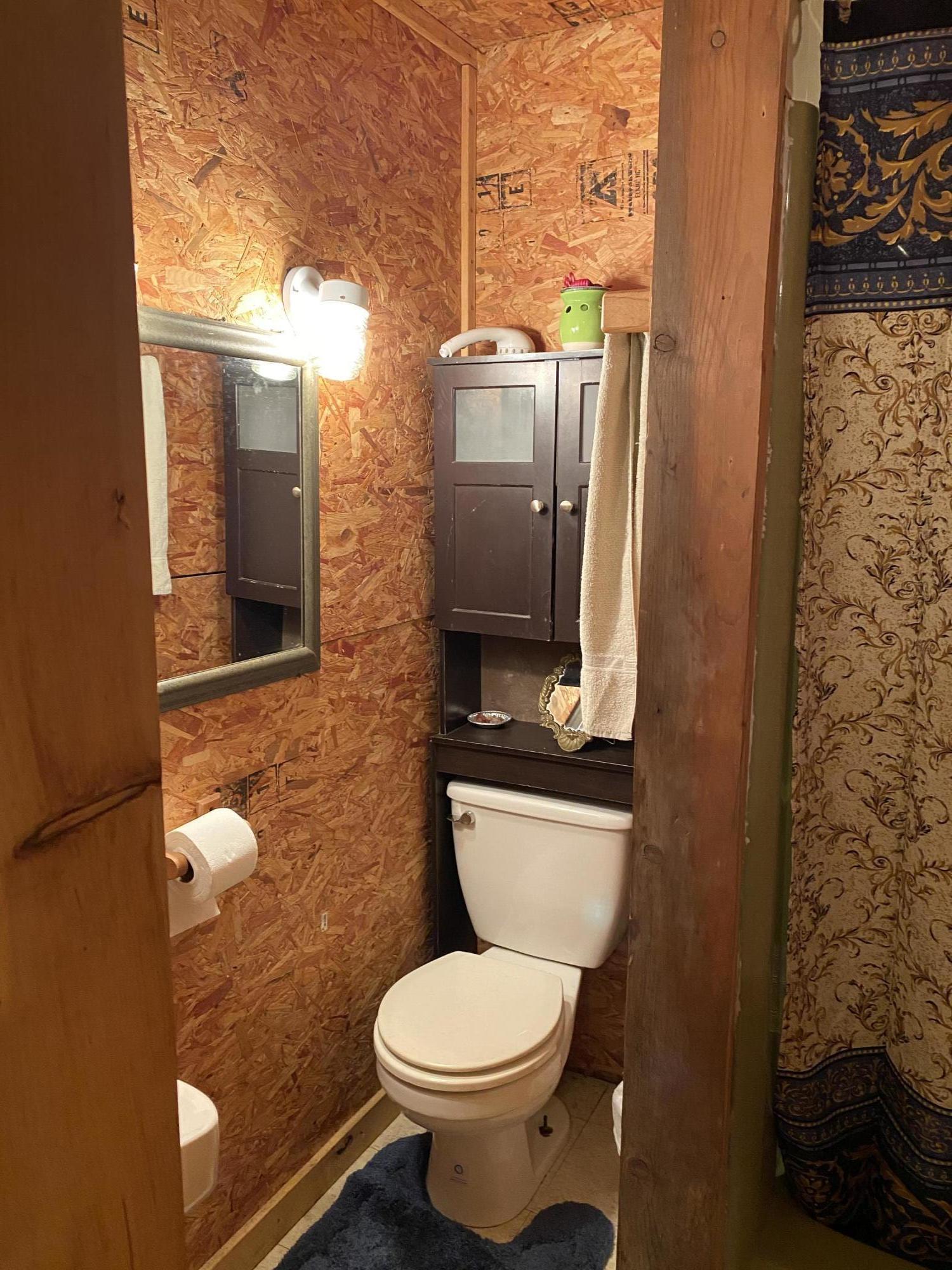 10644 Horton Ford Road Eidson, TN 37731 - Photo 9 of 11 Bathroom