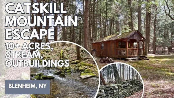 $120,000 | Lot 6.15 Little Beaver Creek Lane, Jefferson, NY 12093