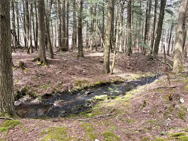 $120,000 | Lot 6.15 Little Beaver Creek Lane, Jefferson, NY 12093