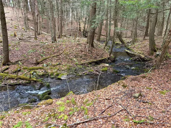 $120,000 | Lot 6.15 Little Beaver Creek Lane, Jefferson, NY 12093