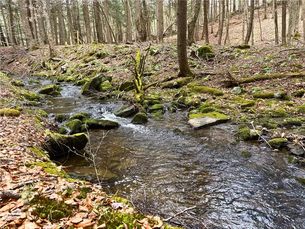 $120,000 | Lot 6.15 Little Beaver Creek Lane, Jefferson, NY 12093