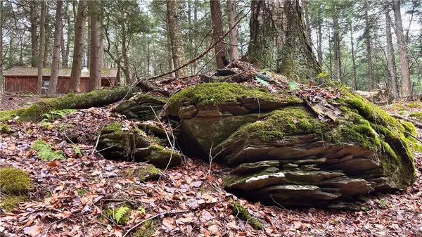 $120,000 | Lot 6.15 Little Beaver Creek Lane, Jefferson, NY 12093