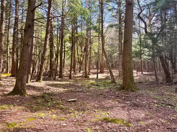 $120,000 | Lot 6.15 Little Beaver Creek Lane, Jefferson, NY 12093